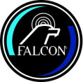 FALCON SAFETY